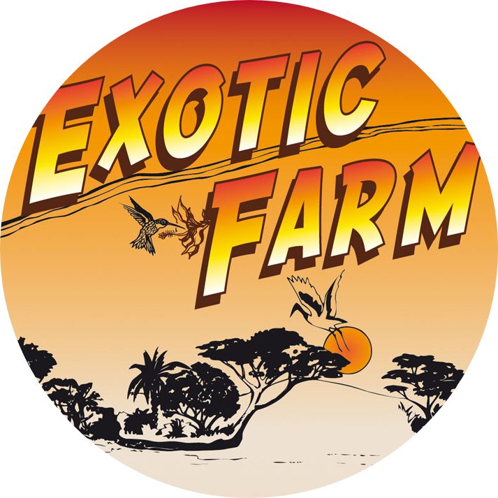 EXOTIC FARM